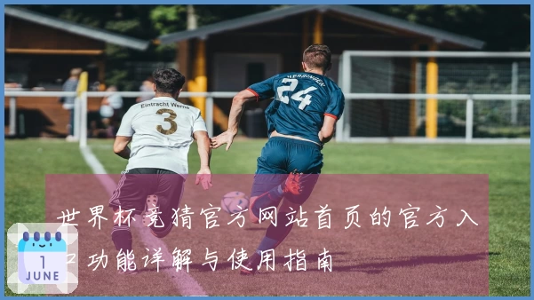 世界杯竞猜官方网站首页的官方入口功能详解与使用指南