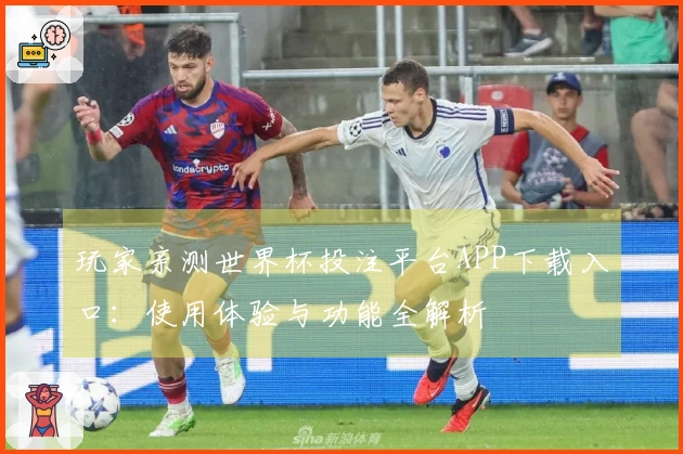 玩家亲测世界杯投注平台APP下载入口：使用体验与功能全解析