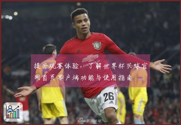 提升观赛体验，了解世界杯买球官网首页客户端功能与使用指南