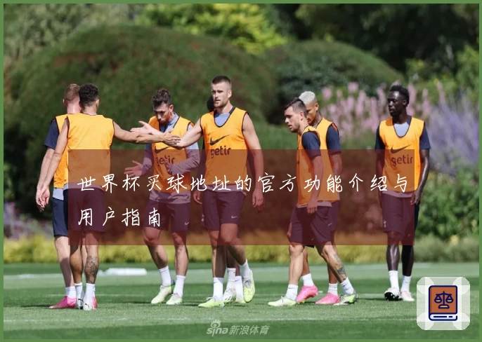 世界杯买球地址的官方功能介绍与用户指南